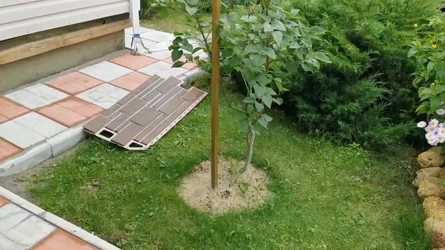 Чем обшить дом? смотреть онлайн