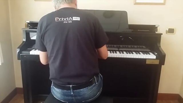 Max Tempia - Casio Grand Hybrid  - Snow Town