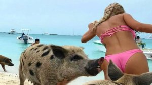 Я РЖАЛ ДО СЛЕЗ, ЛУЧШИЕ ПРИКОЛЫ 2023 СМЕШНЫЕ ВИДЕО, ДЕВУШКИ, ПОДБОРКА ПРИКОЛОВ