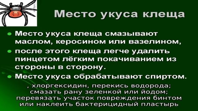 Что делать после укуса мыши смотреть онлайн