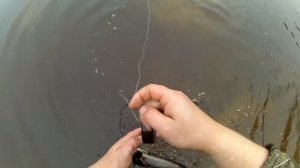 Рыбалка на Налима! Ловля Налима Осенью на Реке!