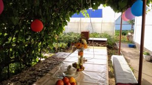 Виноградная беседка своими руками. Республика Татарстан.