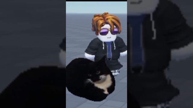 Максвелл кошка мем|Maxwell cat meme смотреть онлайн