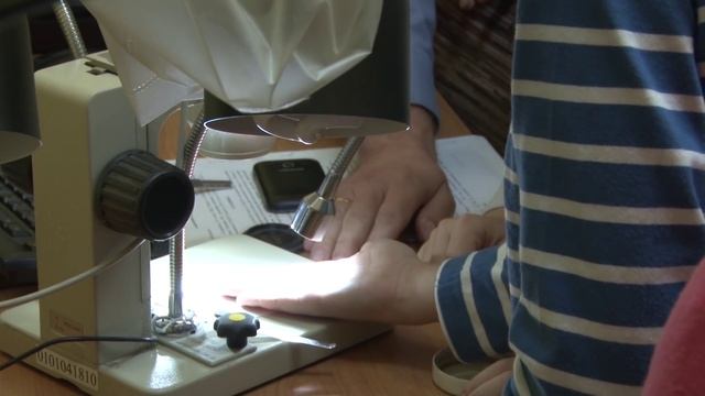 День открытых дверей в Отделе внутренних дел Богородского района. смотреть онлайн