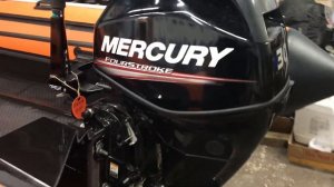 Риб Навигатор 450 и мотор Mercury F 30
