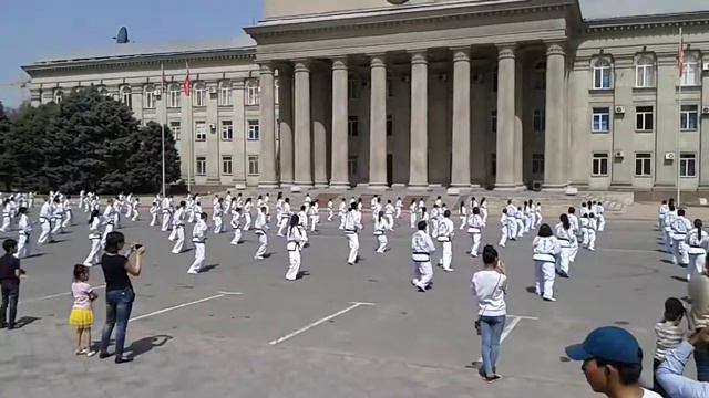 Первый флешмоб таэквондистов в бишкеке смотреть онлайн