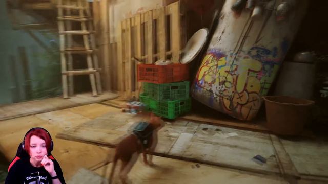 Я НЕ ХОТЕЛА ЭТО НАЙТИ [6] STRAY [прохождение] смотреть онлайн