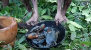 мальчики дикари приготавливание больших крабов с кокосом и кушают в лесу