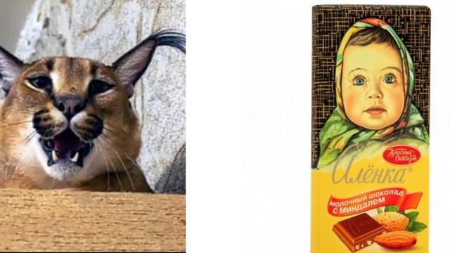 Твоя шоколадка это: смотреть онлайн