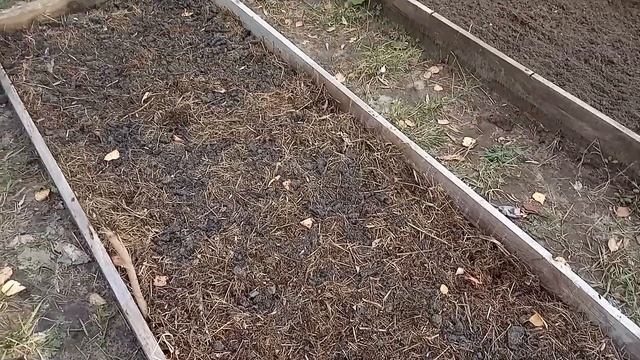 Посадка чеснока осенью. Все от посадки до урожая в одном видео. смотреть онлайн