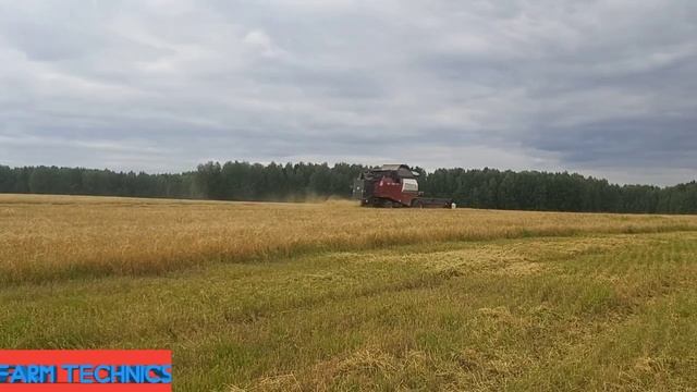 Как работают комбайны Ростсельмаш в поле. смотреть онлайн