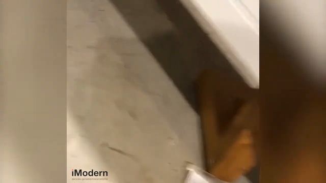 Тумба TV Avalon, обзор тумбы под телевизор смотреть онлайн