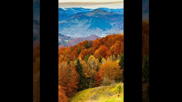 С днём республики Башкортостана! смотреть онлайн