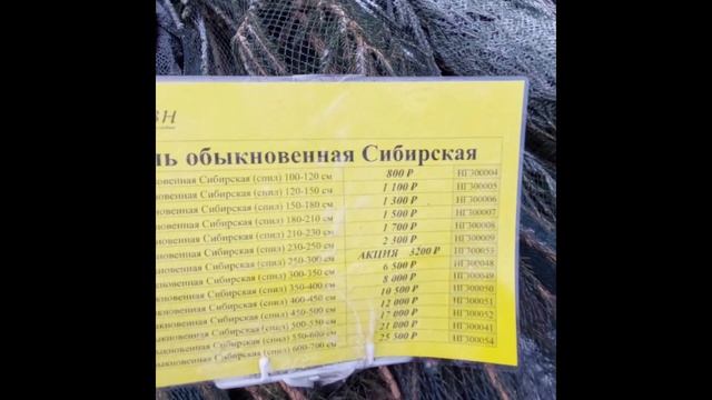 26.12.2022 Новогодние елки смотреть онлайн