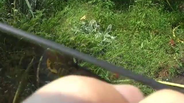 Учимся снимать тонировку самостоятельно смотреть онлайн