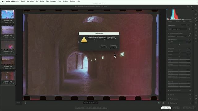 Negative In Positive Umwandeln | Entwickeln  #Photoshop #CameraRAW #Lightroom [TUTORIAL]