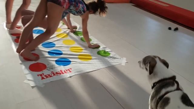 TWISTER CHALLENGE LA FINALE Ginnastica Artistica CSB смотреть онлайн