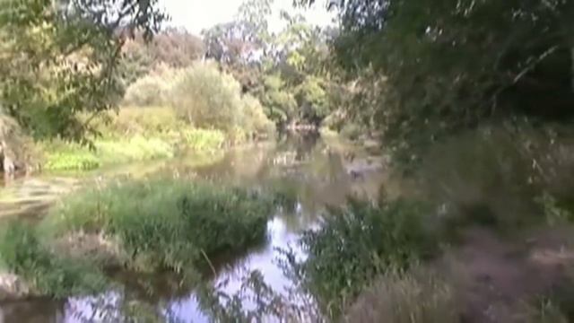 Ray Walton - DORSET STOUR, BLANDFORD FORUM, DORSET смотреть онлайн
