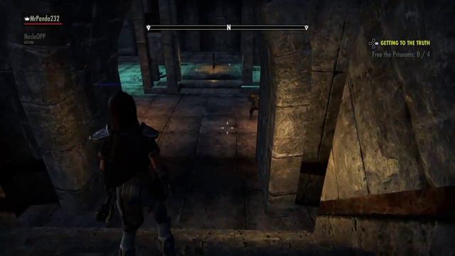 Elder Scrolls Online | Stiff Character Bug смотреть онлайн
