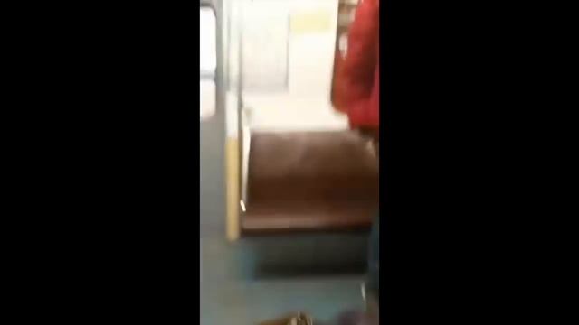 Неадекват разбил окно в Метро Парк Победы смотреть онлайн