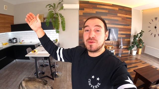 СОБАКА УМЕРЛА! Овчарка Залезла за Котом на Дерево смотреть онлайн