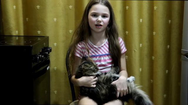 Бездомная кошка # смотреть онлайн