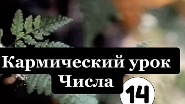 День рождения 14 Числа Число 14 Значение числа 14 Кармический Долг смотреть онлайн