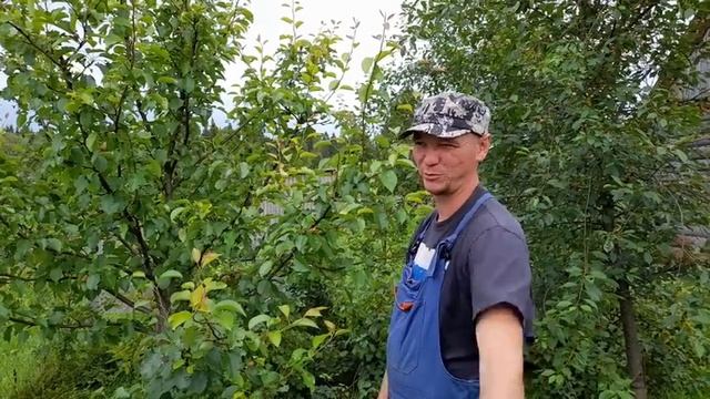 Сделал грубую ошибку при строительстве - исправил ошибку. Ягодная пора в разгаре. смотреть онлайн