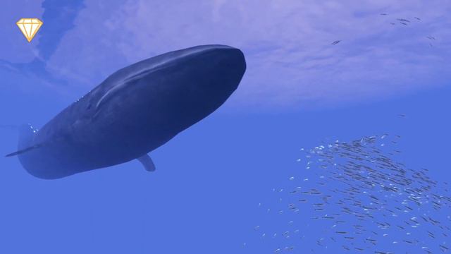 9 Unbelievably HUGE Animals And Their GIGANTIC Ancestors! смотреть онлайн