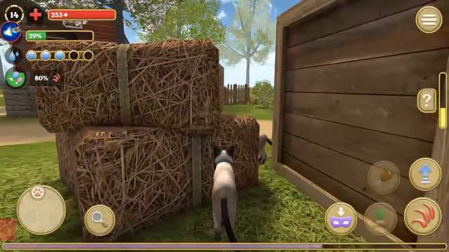 Симуляторы зверей без онлайн