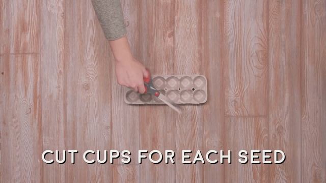 5 Must-Have Gardening Tools AND A Seed-Starter Kit DIY ??? смотреть онлайн