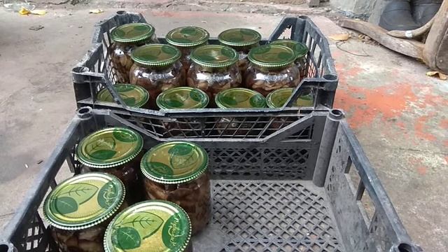 Маринованные опята на зиму смотреть онлайн