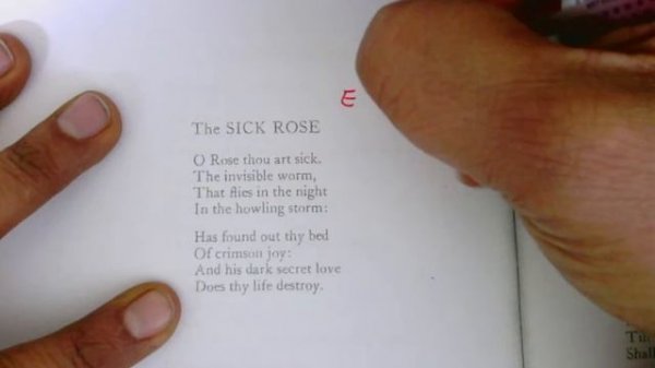 Blake: Blossom and Sick Rose