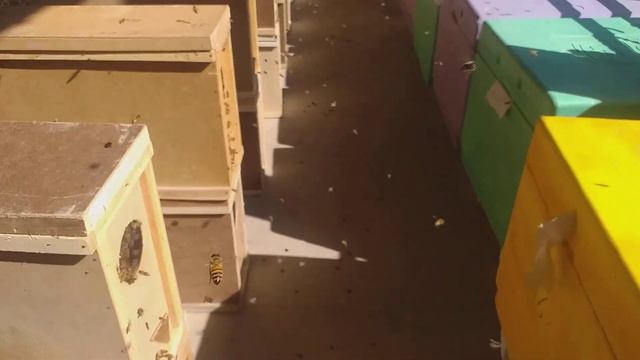 Пакети Худжанд дар числаи 5 05 2022 ....... смотреть онлайн
