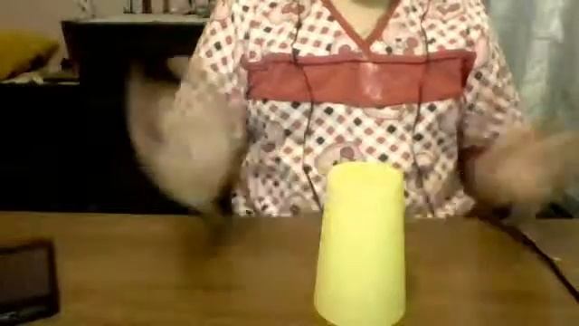 Как играть на стаканчике ) смотреть онлайн