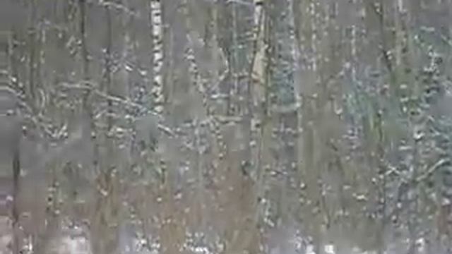 Лось ушёл. смотреть онлайн