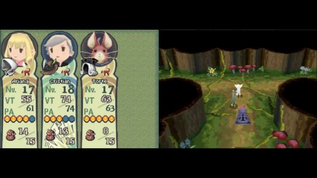 Final Fantasy The Four Heroes Of The Light (español 100%) parte 19: Arbaroc va chetao смотреть онлайн