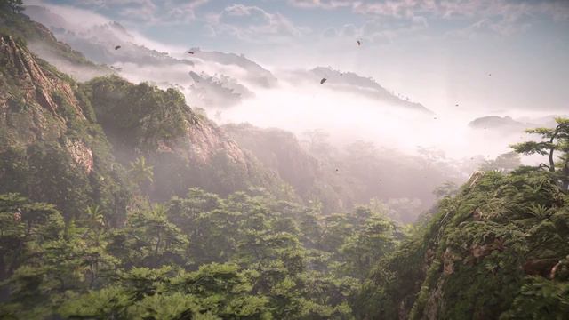 Horizon Forbidden West Rainforest Ambience for Study and Relaxation смотреть онлайн