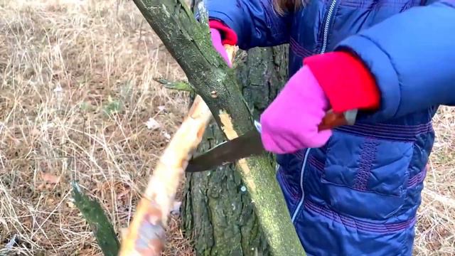 Урок выживания. Как вскипятить воду используя огниво и кресало. Поход выходного дня смотреть онлайн