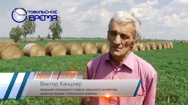 СЕНОКОС смотреть онлайн