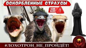 ОСКОРБЛЕННЫЕ СТРАУСЫ или СТАНИСЛАВ ПОПАЛ В ТОЧКУ