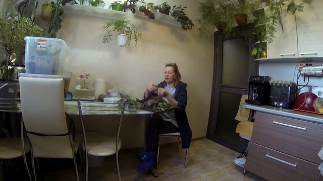 Борьба с конденсатом. Укоренение эписции. смотреть онлайн