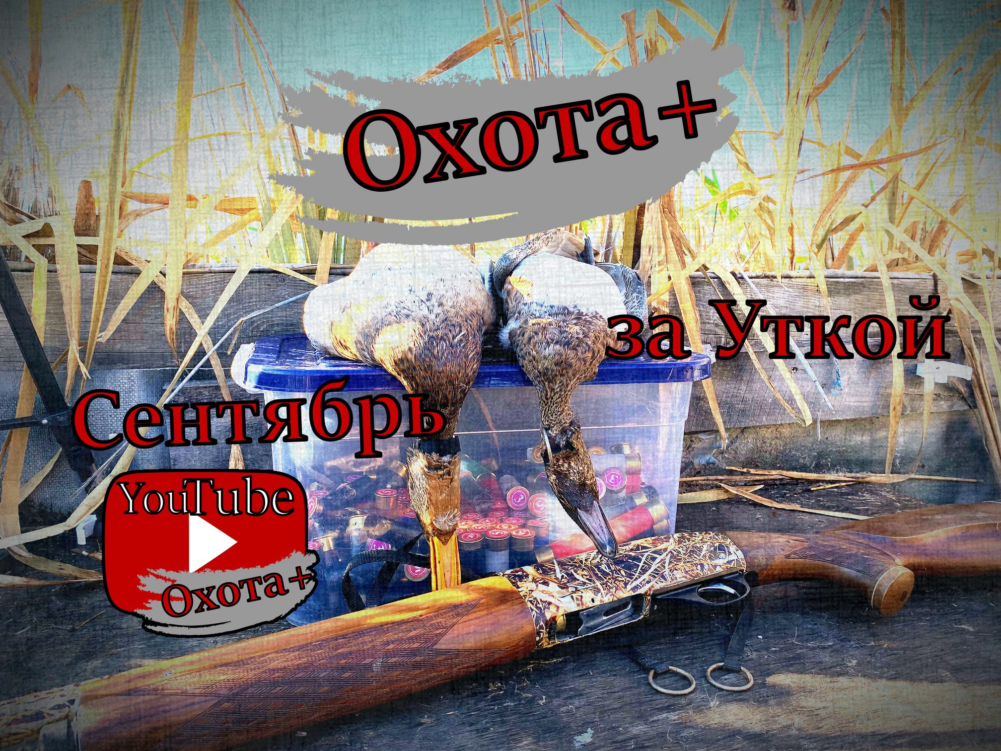 В Сентября на утку Охота на утку Осень 2021 #наутку #скрад #охота #Охота+ смотреть онлайн