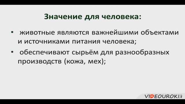 Значение животных смотреть онлайн