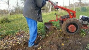 Пашу целину.Мотоблок МТЗ 09Н.