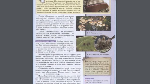 Биология (Л.Н.Сухорукова) 7к §51 Роль грибов в природе и жизни человека смотреть онлайн