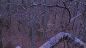 voice of yeti    голос йети голос снежного человека