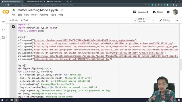 Coding Deep Learning Paling Simple Untuk Image Classification (20 Menit Saja) смотреть онлайн