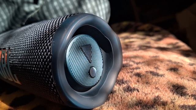 JBL Flip 6 GG - BASS TEST?? [VOL100%+EQ] смотреть онлайн