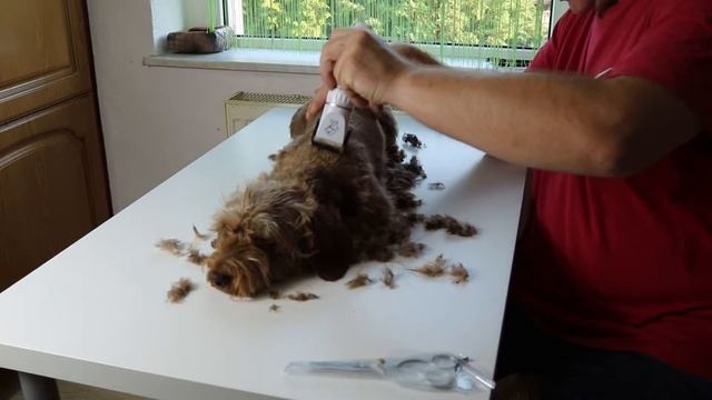 Haarschneider für Tiere Unboxing + Test смотреть онлайн